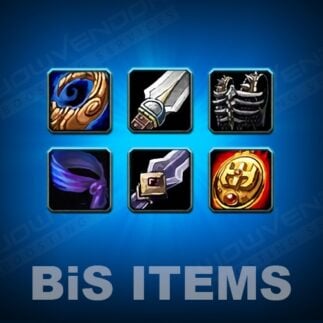 Classic BIS Items Farm Carry