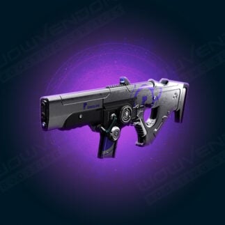 Uneinigkeit SR4 Meister Legendäres Scout Gewehr Carry
