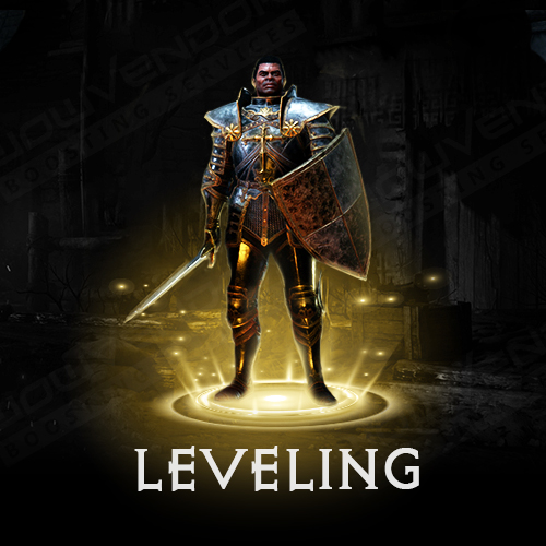 Levelling Carry Service