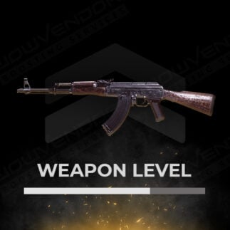 Weapon Level Farm Carry Service