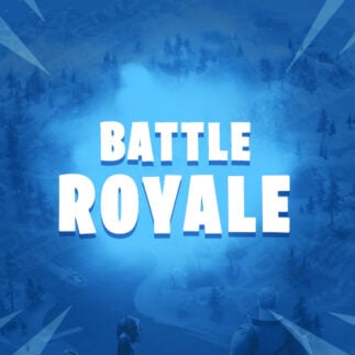 Fortnite Gewinne Boost
