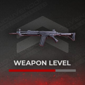 Cold War Waffen Leveln Carry