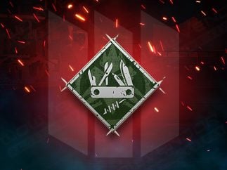 Arenas Survivor Badge Carry Service