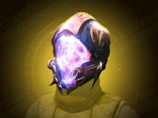 Blight Ranger Exotic Helm Armor Carry Service