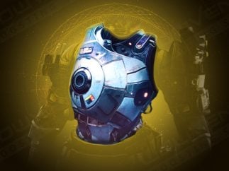Hoarfrost Z Exotic Chest Armor Carry Service