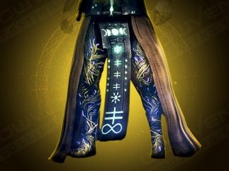 Secant Filaments Exotic Legs Armor Carry Service