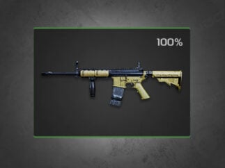 Weapon leveling Carry