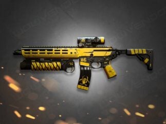 DMZ Weapons unlock boost