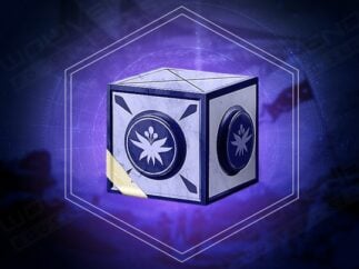 Eliksni Quarter Gift Box Boost
