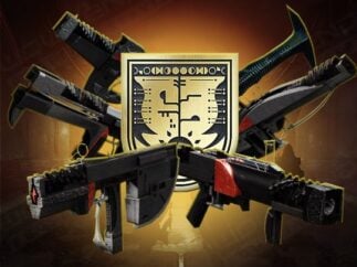 Vow of the Disciple legendary weapons Carry