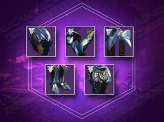 Letzter Wunsch Raid Rüstungsset carry