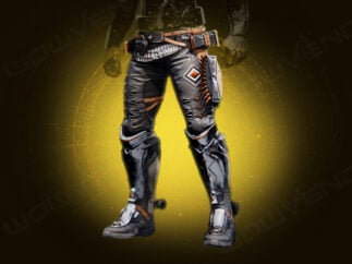 buy speedloader slacks hunter exotic legs armor boost carry service