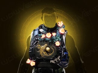 buy arbor warden exotic chest armor boost carry service