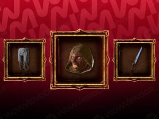Buy Diablo 4 Unique Items farming service
