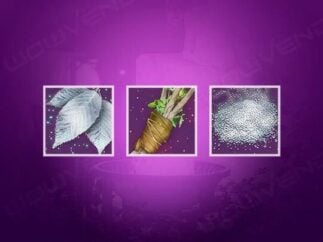 buy solstice currencies farm boost carry service