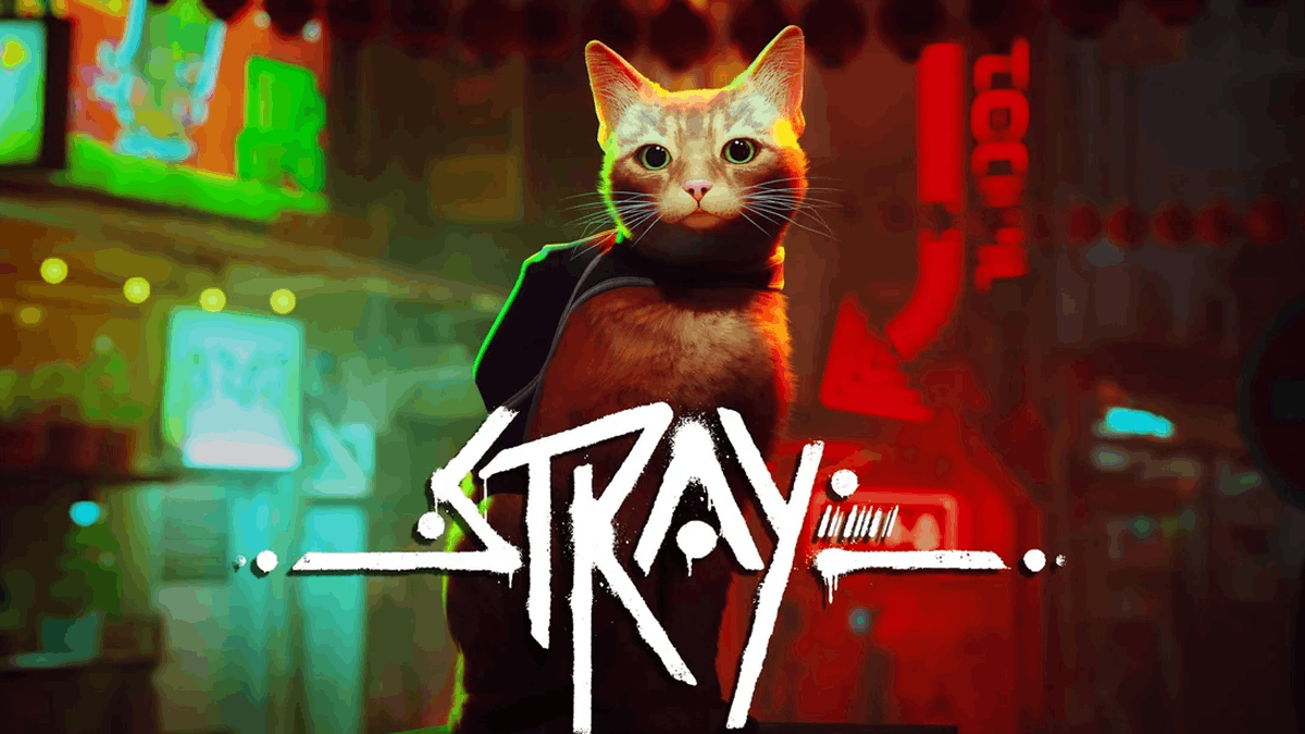 Stray Adaptation: Animated Movie in the Works 