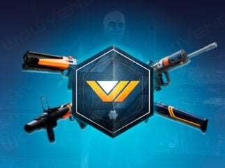 Vanguard-Waffen Carry