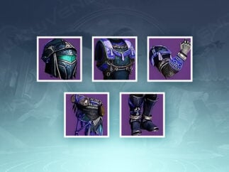 Saison des Wunsches Wyrmguard-Rüstung Carry