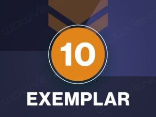guardian rank 10
