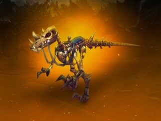 Skelet Dinosaur Raptor