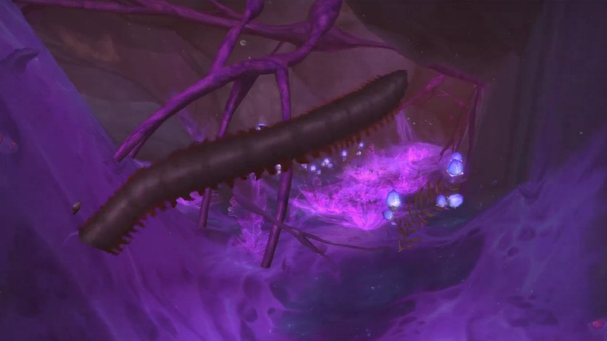 Player Caught Sight of Tapeworm in The War Within Alpha