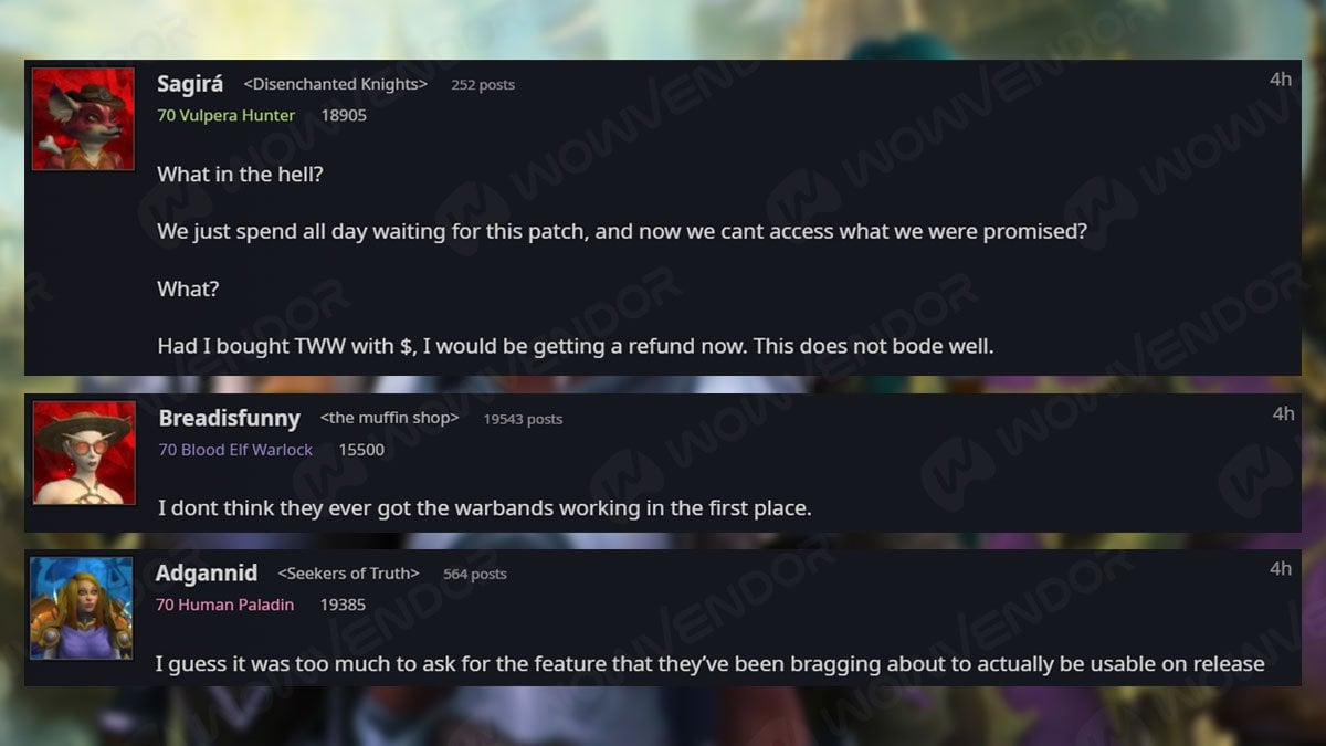Warbank disabled, The War Within pre-patch filled with issues
