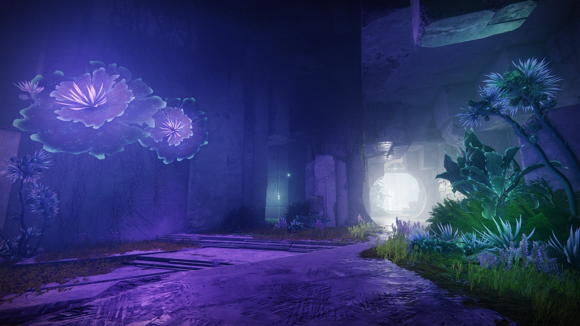 Destiny 2 Encore expert boost