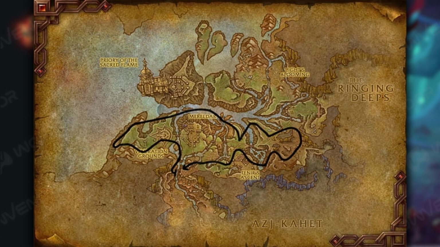 The War Within Herbalism guide 1–100: Level up fast | WowVendor