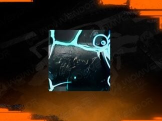 Black Ops 6 Afterlife camo boost