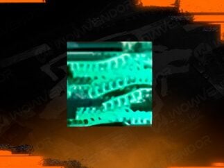 Black Ops 6 Dark Spine