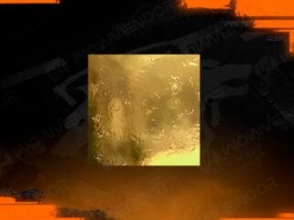 Black Ops 6 Gold boost