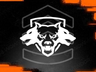 Black Ops 6 leveling carry
