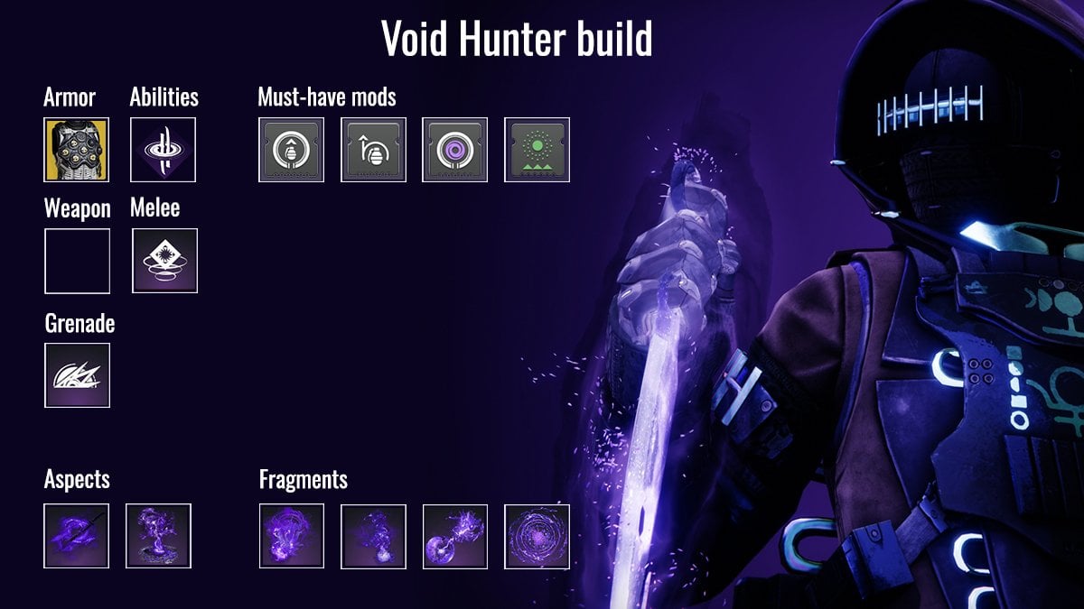 Void Hunter with PvE load-out