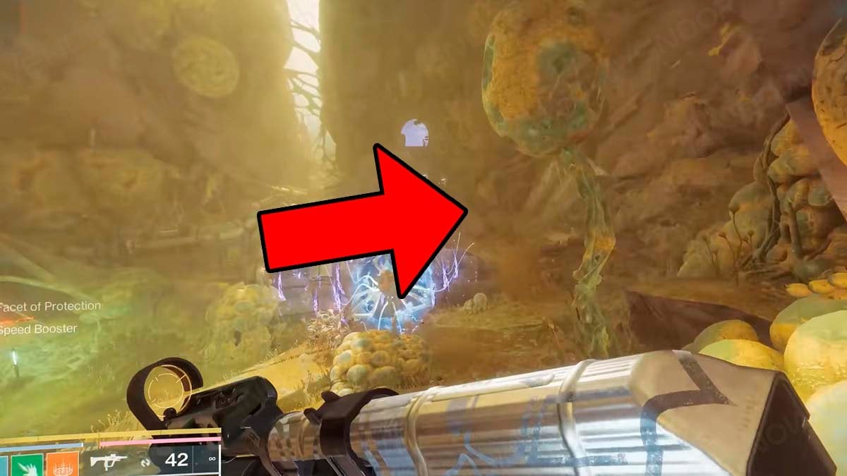 How to get Rapid Hit Catalyst Graviton Spike guide