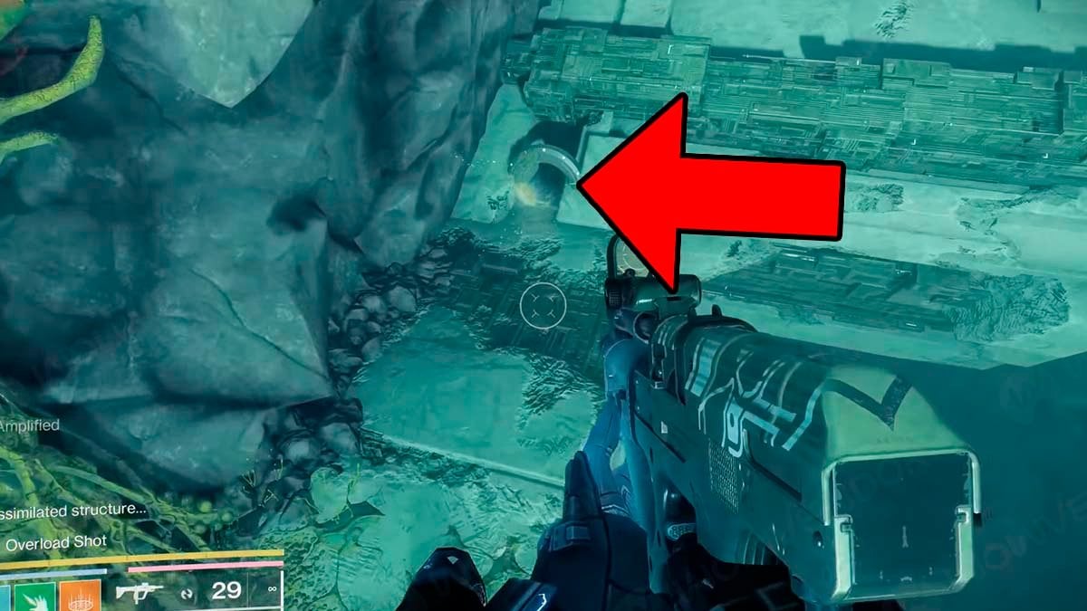 How to get Rapid Hit Catalyst