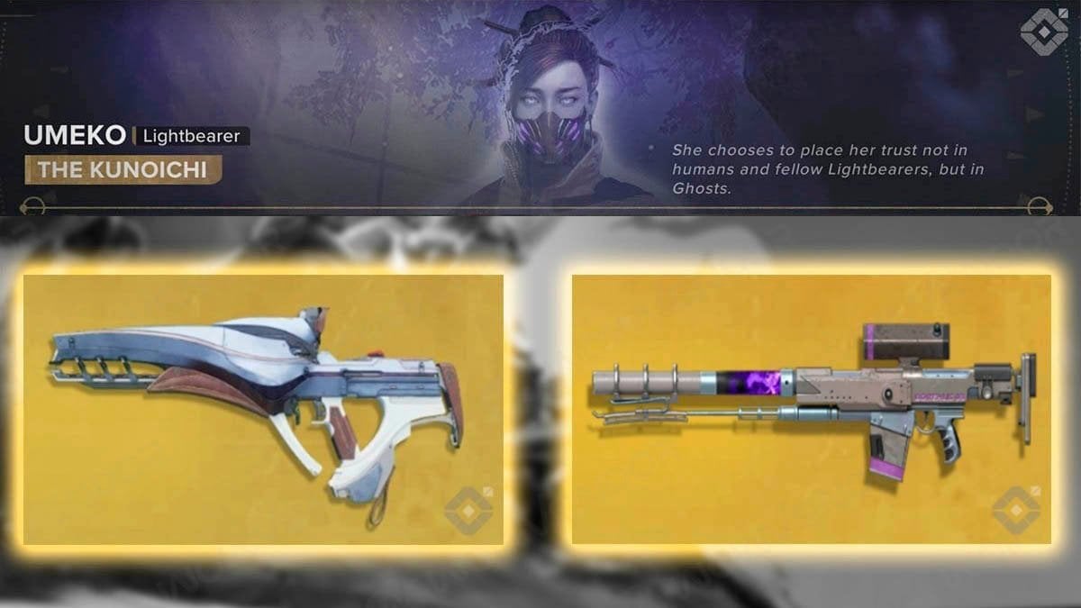 Umeko best weapons in Destiny Rising.