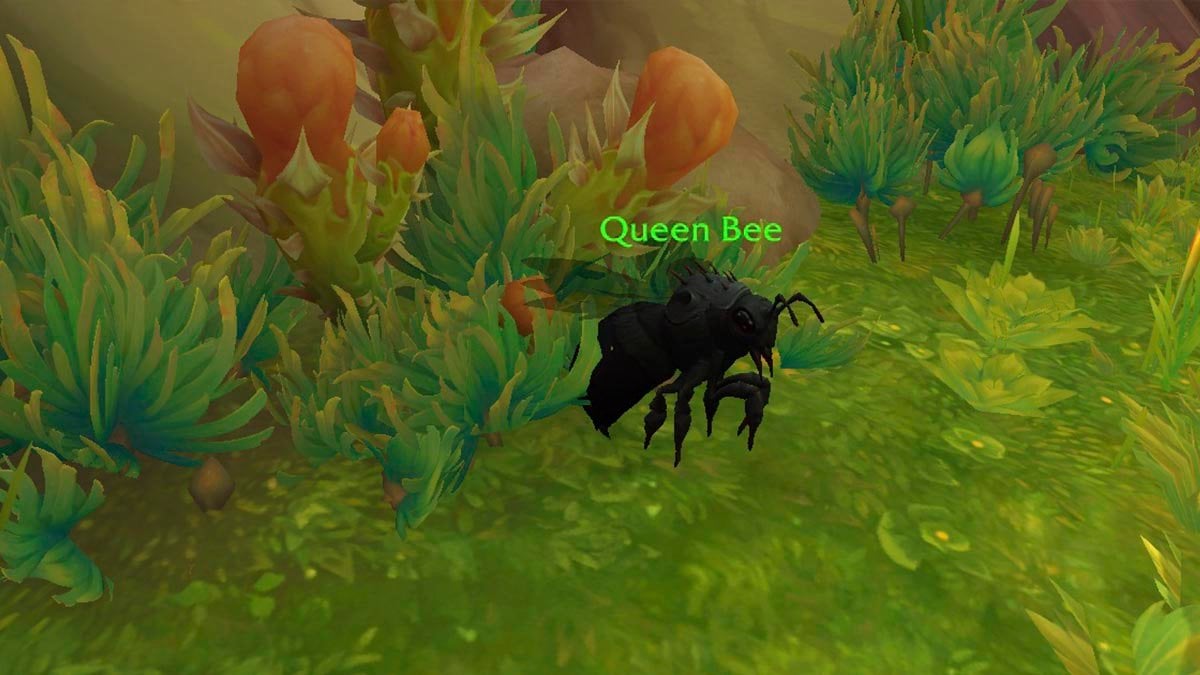 Honey Bees quests for Ecological Stability