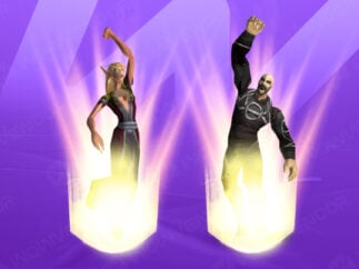 TBC Anniversary leveling package boost