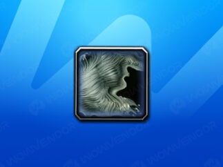 Skinning TBC boost service