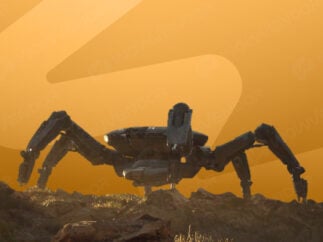 ARC The Queen kill service