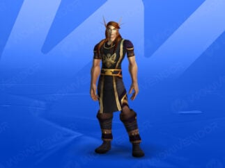 Get The Scryers reputation boost here!