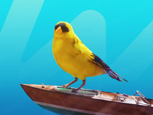 Buy Avian Alarm project boost